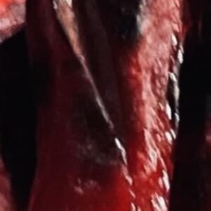 Blessed Bites Grilled Hotdog (Small)