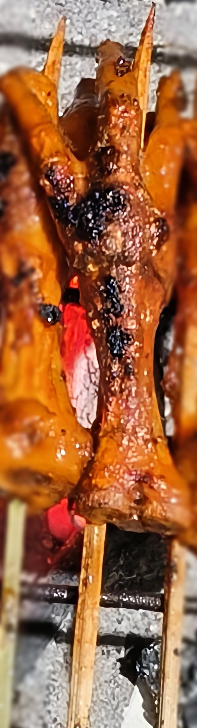 Blessed Bites Grilled Chicken Feet/Adidas