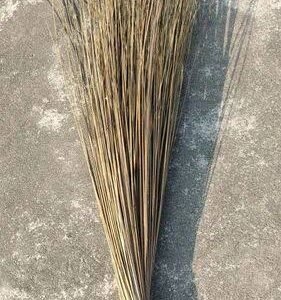 Blessed Bites Walis Tingting